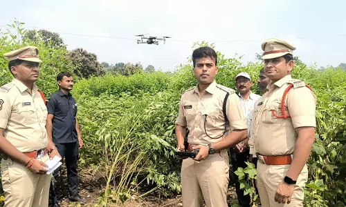 Police Deploy Drones For Ganja Hunt