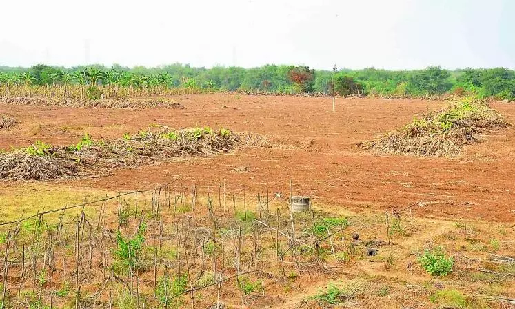 KSEZ Farmers Seek Special Drive for Re-registration of Their Lands