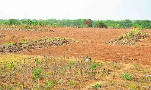 KSEZ Farmers Seek Special Drive for Re-registration of Their Lands