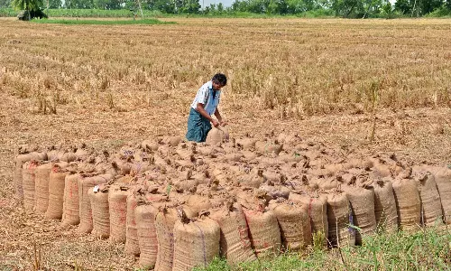 Telangana Readies Storage for Record Paddy Harvest Telangana Readies Storage for Record Paddy Harvest