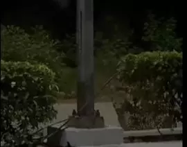 Leopard Spotted on Tirumala Ghat Road