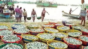 Seafood Exports To EU increase By 20 Pc: MPEDA