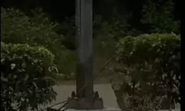 Leopard Spotted on Tirumala Ghat Road Leopard Spotted on Tirumala Ghat Road