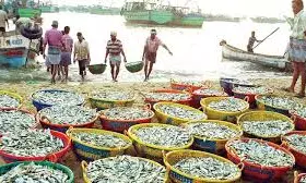 Seafood Exports To EU increase By 20 Pc: MPEDA