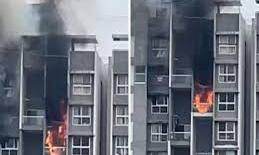 Deccan Chronicle - Other - News Image