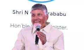First Installment Of Rs 1,500 Crore Towards Pending Industrial Incentives For This Diwali: CM Naidu