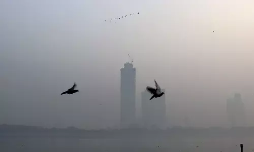 Smog Chokes Delhi After Diwali Night