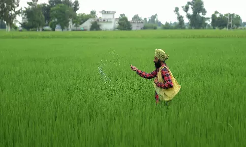 India Confronts Specialty Fertiliser Price Surge After China Halts Exports India Confronts Specialty Fertiliser Price Surge After China Halts Exports