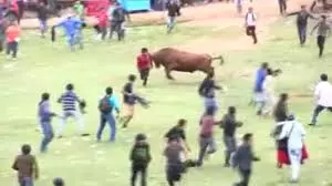 Hyderabad: Four Persons Injured As Bull Runs Amok at Madhuranagar
