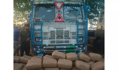 Eagle, NCB Bust Inter-State Ganja Racket, 1 Held