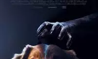 Paw-Some Furry Actors Transcend Movie Stars Paw-Some Furry Actors Transcend Movie Stars