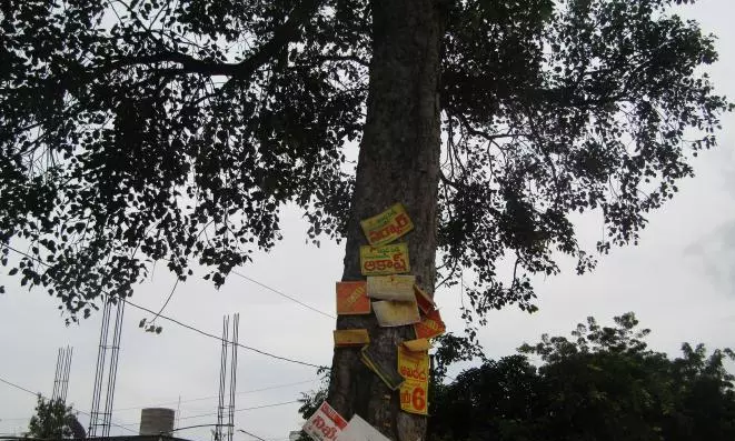 Greens Seek Action Against Tree-nailing in Nalgonda Greens Seek Action Against Tree-nailing in Nalgonda