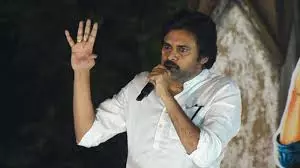 AP To Tackle Elephants In Forest Areas: Pawan Kalyan