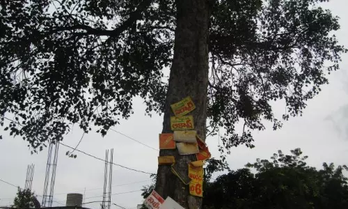 Greens Seek Action Against Tree-nailing in Nalgonda Greens Seek Action Against Tree-nailing in Nalgonda