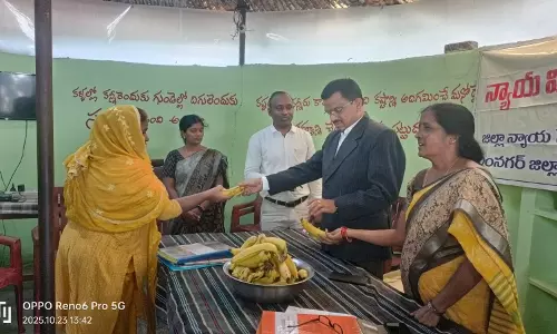 Judge Urges Students to Report Sexual Harassment Quickly