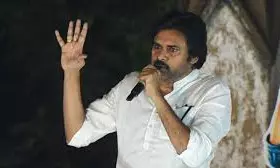 AP To Tackle Elephants In Forest Areas: Pawan Kalyan