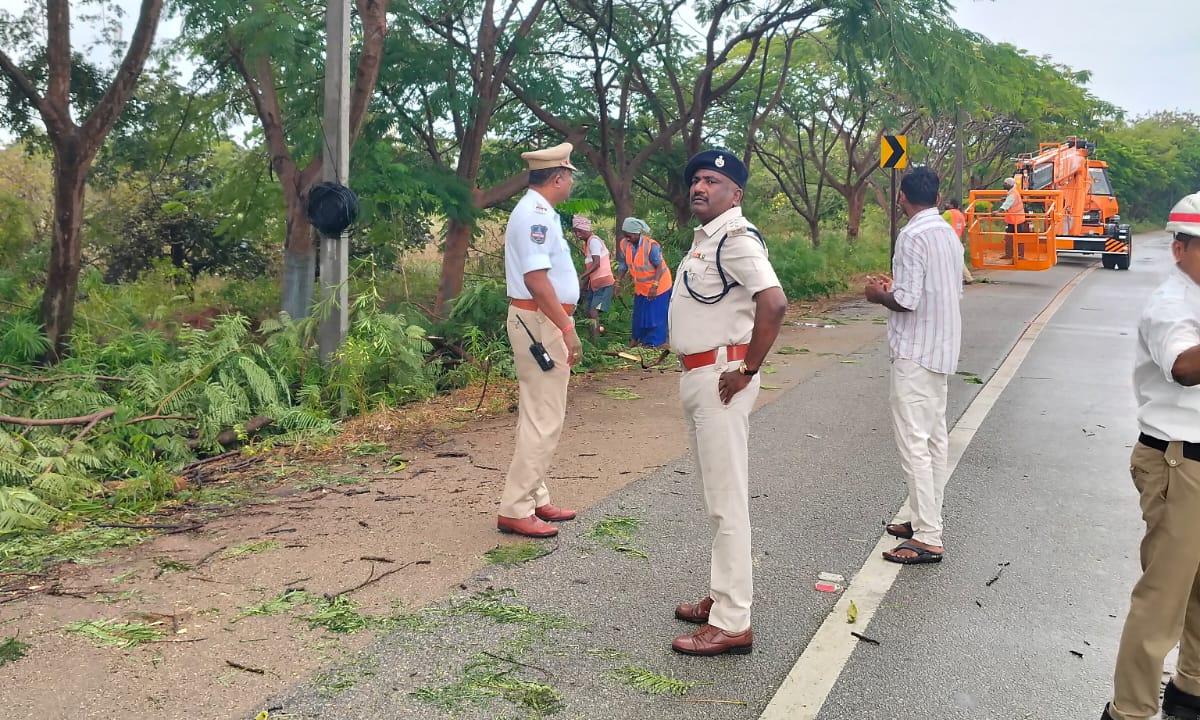Siddipet Police Trim Tree Branches on Rajiv Rahadari