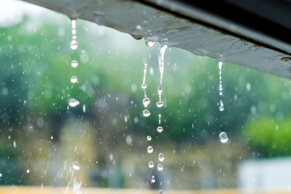 Media's Portrayal of Weather Forecasts Causes Public Panic