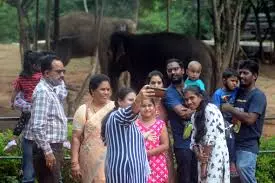 Vizag Zoo’s Revenue Climbing, But Facilities For Animals, Humans Failing Vizag Zoo’s Revenue Climbing, But Facilities For Animals, Humans Failing