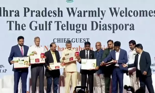 Naidu Coins Speed of Doing Business to Support Investment Naidu Coins Speed of Doing Business to Support Investment