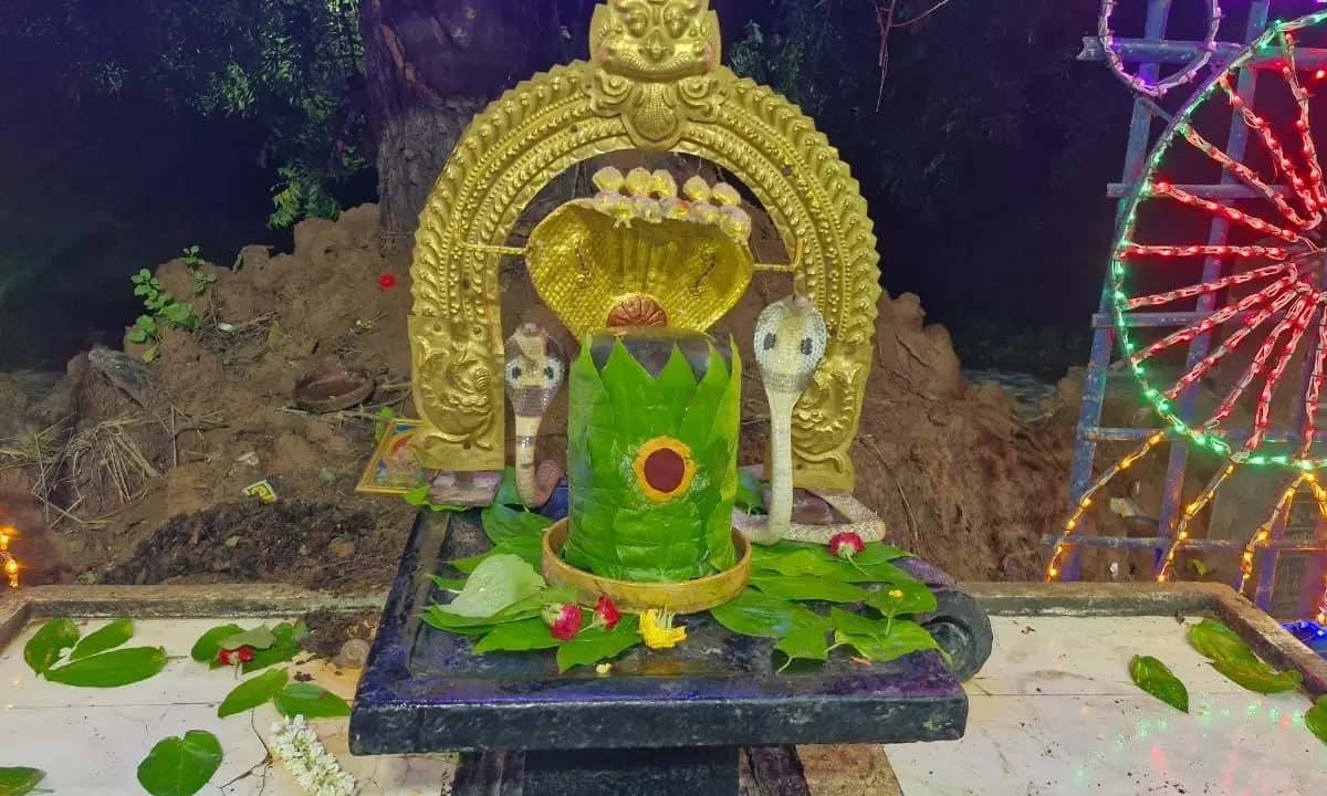 Cobras Appear Around Shiva Lingam On Nagula Chavithi, Video Goes Viral