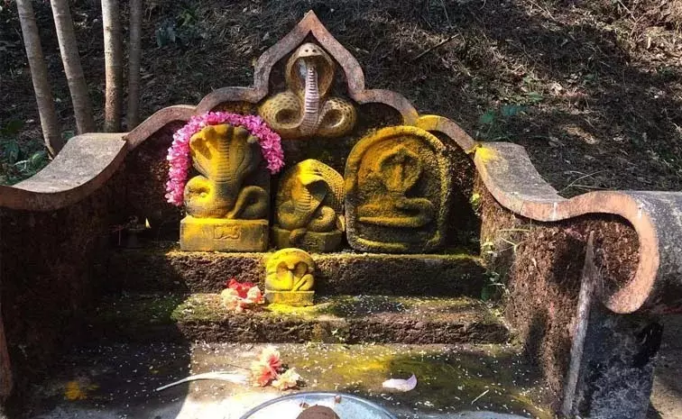 Nagula Chavithi Celebrated With Fervour at Indrakeeladri Nagula Chavithi Celebrated With Fervour at Indrakeeladri