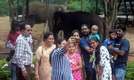 Vizag Zoo’s Revenue Climbing, But Facilities For Animals, Humans Failing