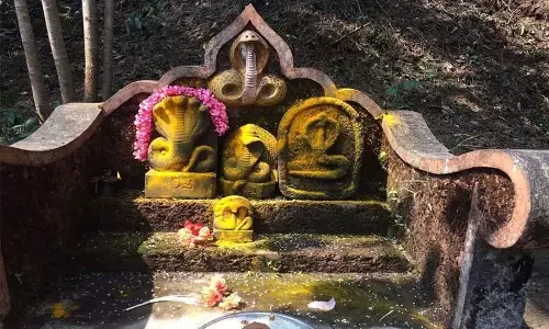 Nagula Chavithi Celebrated With Fervour at Indrakeeladri