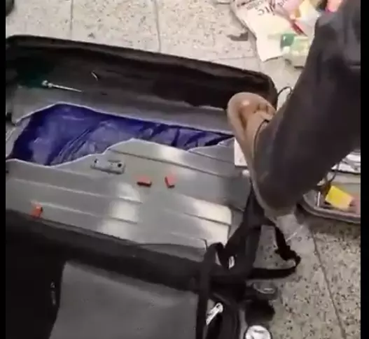 4.15 kg Hydroponic Weed Seized At Hyderabad Airport: DRI