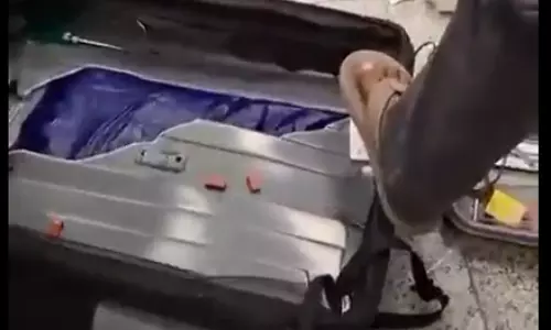 4.15 kg Hydroponic Weed Seized At Hyderabad Airport: DRI