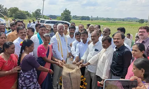 Srihari Says Govt Procuring All Paddy From Farmers
