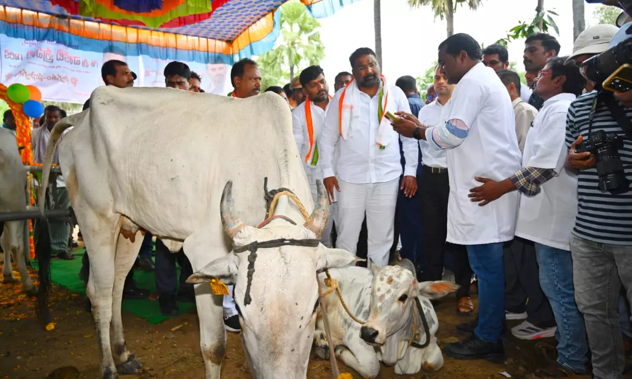 Srihari Launches FMD Vaccination Drive in Bhupalpally