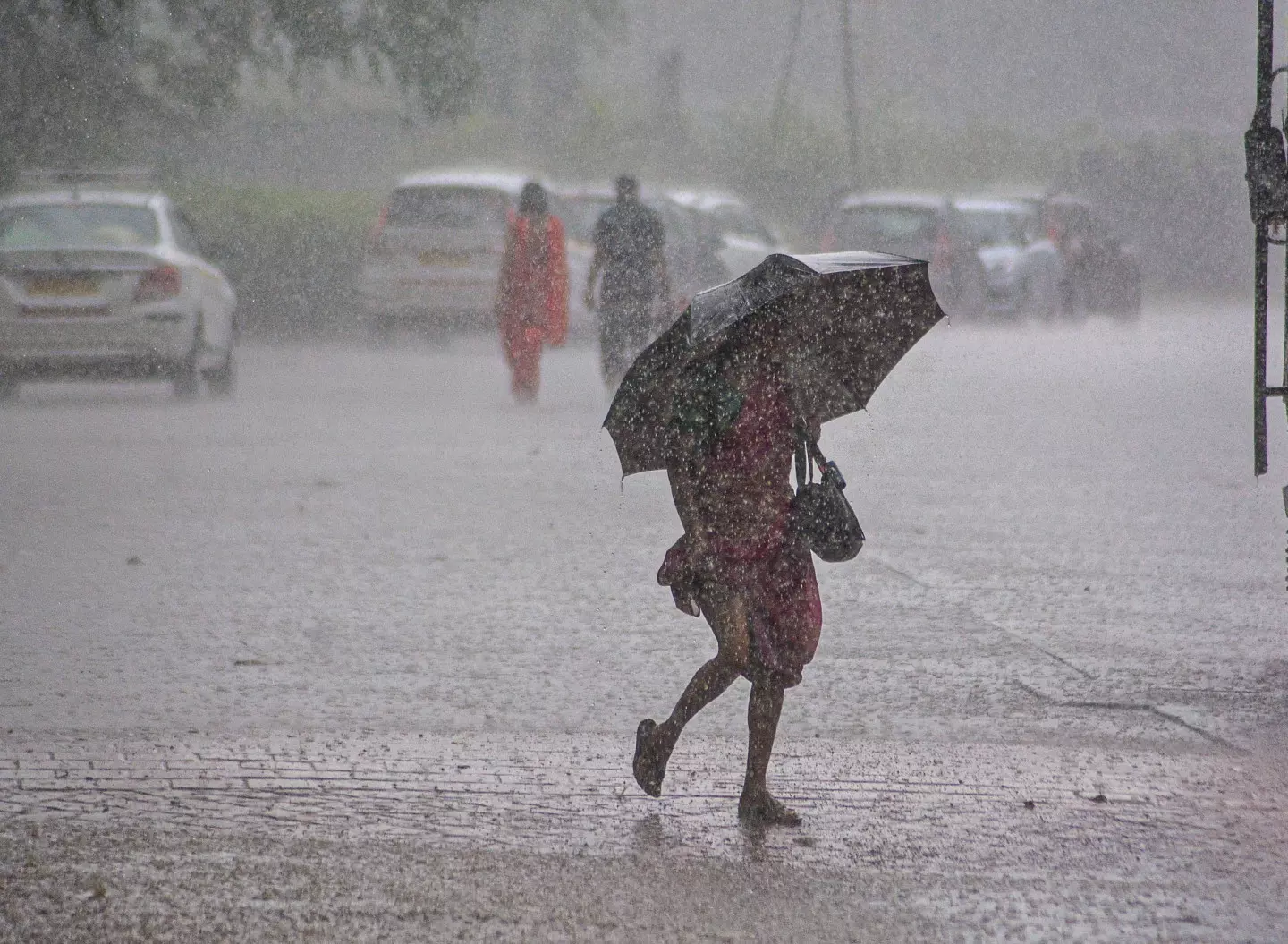 Cyclone Montha: Rain lashes 8 Odisha Districts Cyclone Montha: Rain lashes 8 Odisha Districts