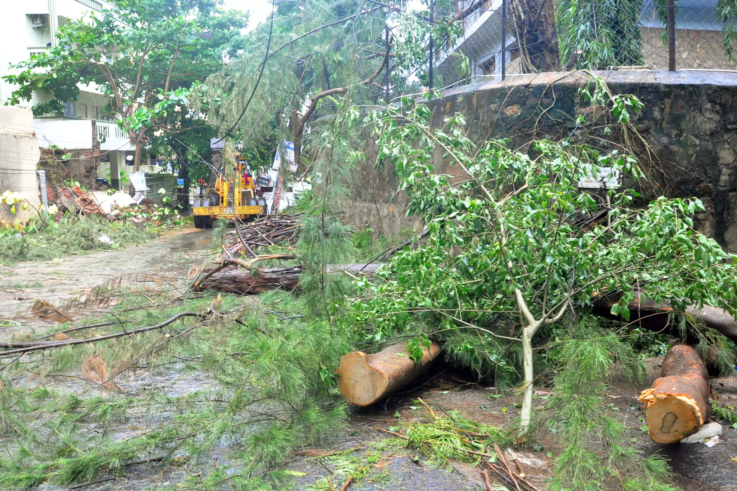 AP Evacuates 31,600 Ahead of the Critical 12-Hour Cyclone Window AP Evacuates 31,600 Ahead of the Critical 12-Hour Cyclone Window