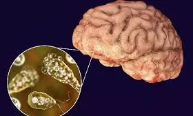 Amoebic Meningoencephalitis: Health Department - ICMR Joint Field Study Begins In Kerala Amoebic Meningoencephalitis: Health Department - ICMR Joint Field Study Begins In Kerala