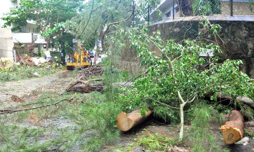 AP Evacuates 31,600 Ahead of the Critical 12-Hour Cyclone Window