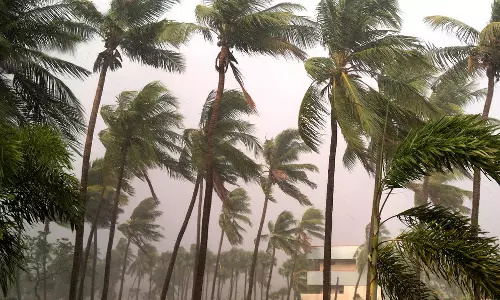 Cyclone Montha Causes ₹38.21 Crore Damage In Tirupati District Cyclone Montha Causes ₹38.21 Crore Damage In Tirupati District