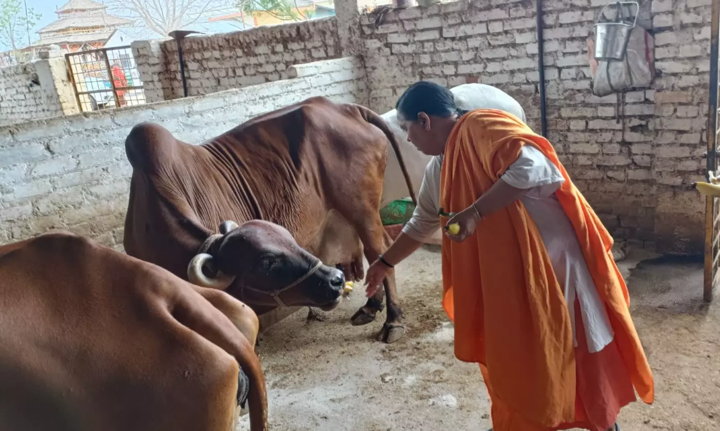 Eyeing 2029 LS Polls Ticket, Uma Launches Cow Protection Campaign in Madhya Pradesh