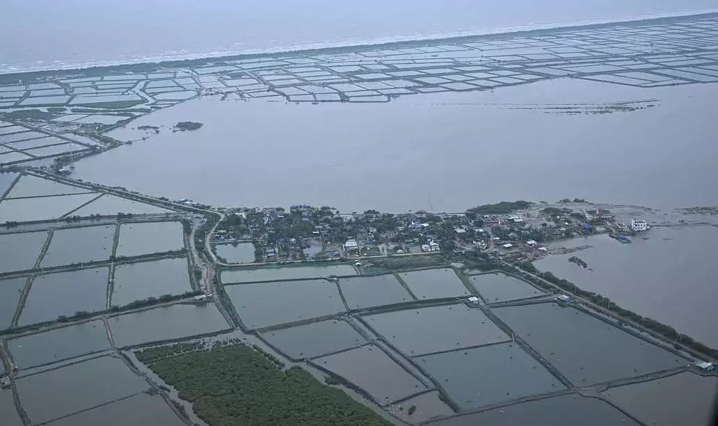 AP Suffers Crops Damage in 1.15 Lakh Hectares Due to Montha