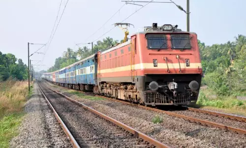 Train Pilot Injured as Eagle Shatters Windscreen and Lands Inside Cabin