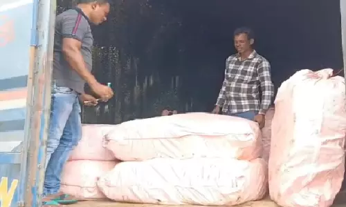 Malkangiri Police Seizes Ganja worth Rs 17 Crore in 24 Hours; 3 UP Mafia Held