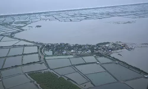 AP Suffers Crops Damage in 1.15 Lakh Hectares Due to Montha AP Suffers Crops Damage in 1.15 Lakh Hectares Due to Montha