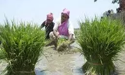 Farmers Led By Ex-MLA block Nagpur–Hyderabad Highway For Loan Waiver; HC Steps In