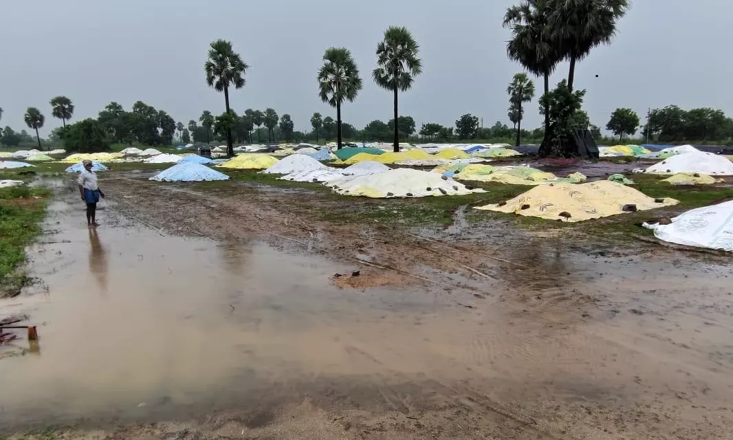 Unweighed Paddy Soaks in Rain, Farmers Face Heavy Losses in Nalgonda
