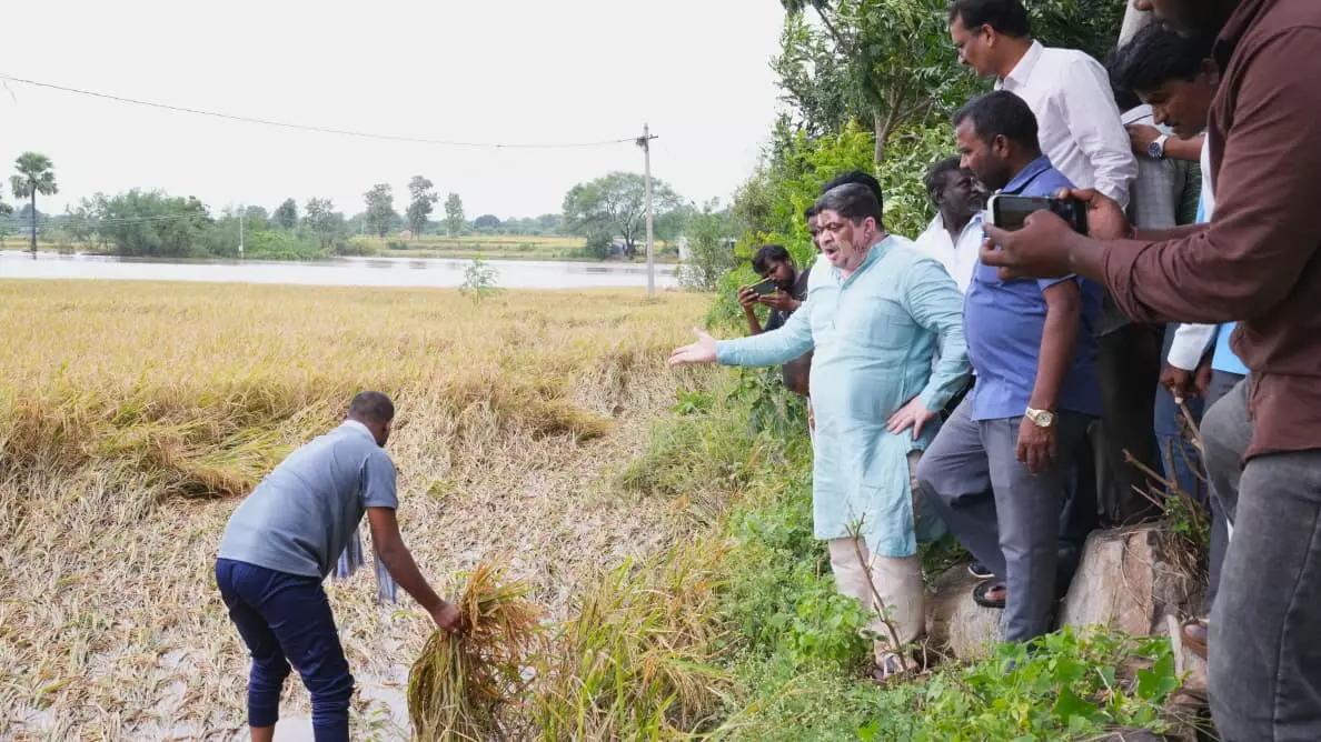 Huzurabad, Husnabad Bear Brunt of Cyclone Montha in Karimnagar