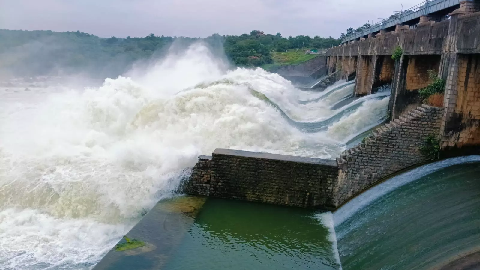 Sriramsagar, Nizamsagar Project Gates Lifted Due To Heavy Inflows