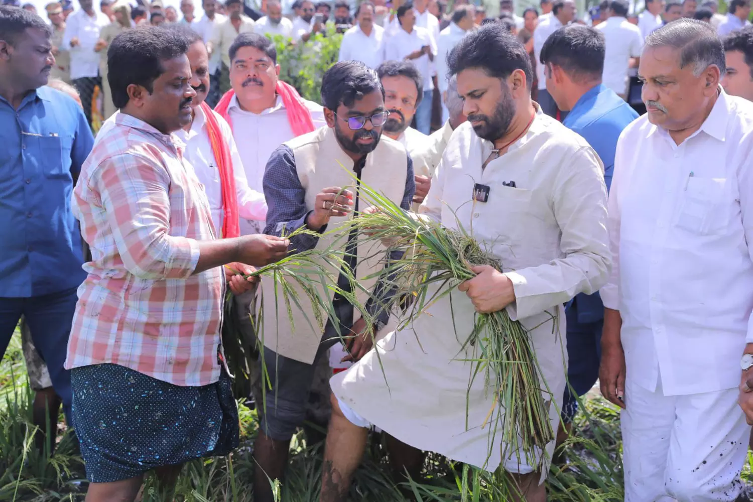 Montha: Crop Damage in 1.38 Lakh Hectares Across Andhra Pradesh, Says Deputy CM Montha: Crop Damage in 1.38 Lakh Hectares Across Andhra Pradesh, Says Deputy CM