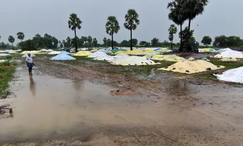 Unweighed Paddy Soaks in Rain, Farmers Face Heavy Losses in Nalgonda