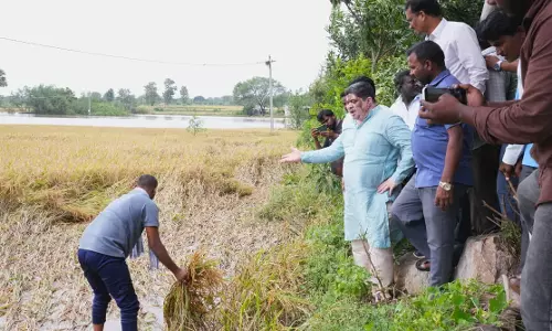 Huzurabad, Husnabad Bear Brunt of Cyclone Montha in Karimnagar