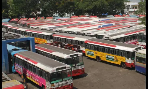 Bus Driver Shortage Hits Tourism, Transport Sectors